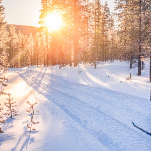 Styrketräning inför längdskidsäsongen – tips på 5 övningar